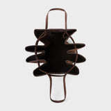 DALIA ACCORDION